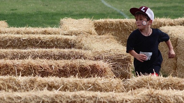 Jensen Kincade makes his way around a hay maze at MIQ's Annual Fall Festival held Sunday at the local school.